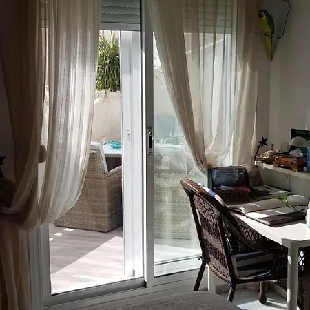 Malva Loca Benalmádena